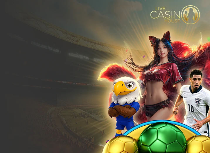Bet Daily - Win Throughout WC
